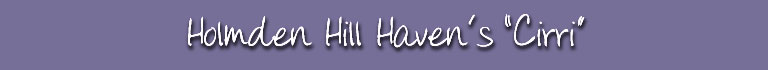 Holmden Hill Haven's "Cirri"