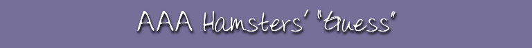 AAA Hamsters' "Guess"